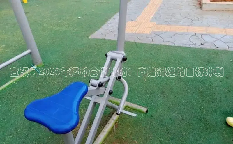赏金国际模拟器